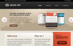 【Win11/10兼容】稳定运行的在线网站攻击